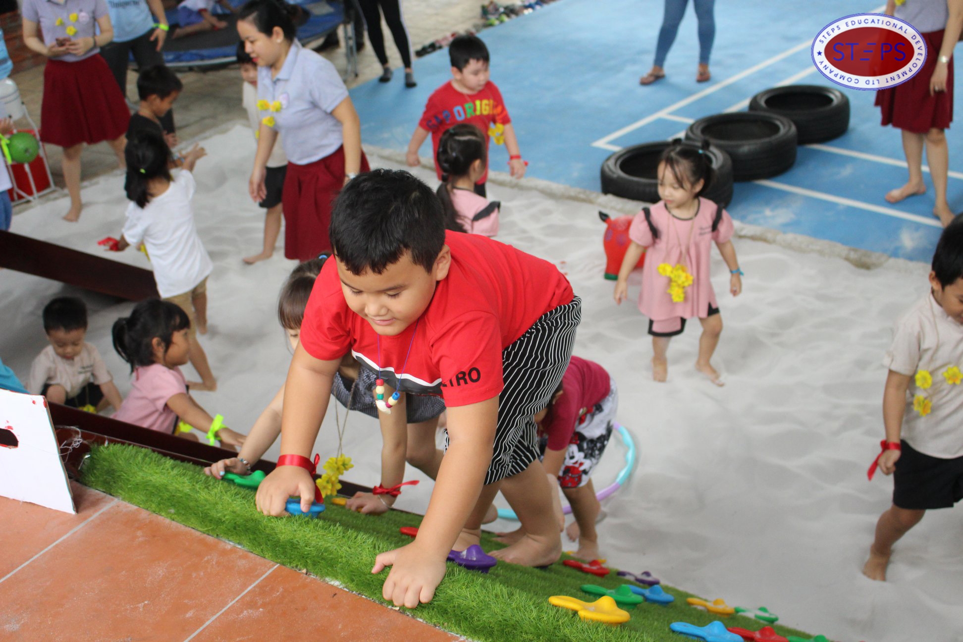 summer program steps 2019 2